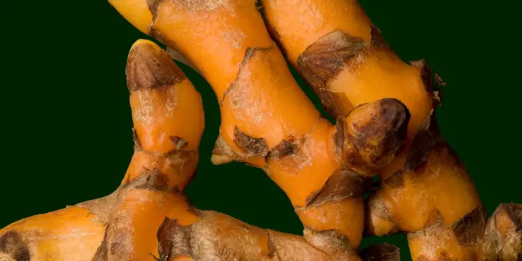 Turmeric’s Unexpected Benefits | Vogue