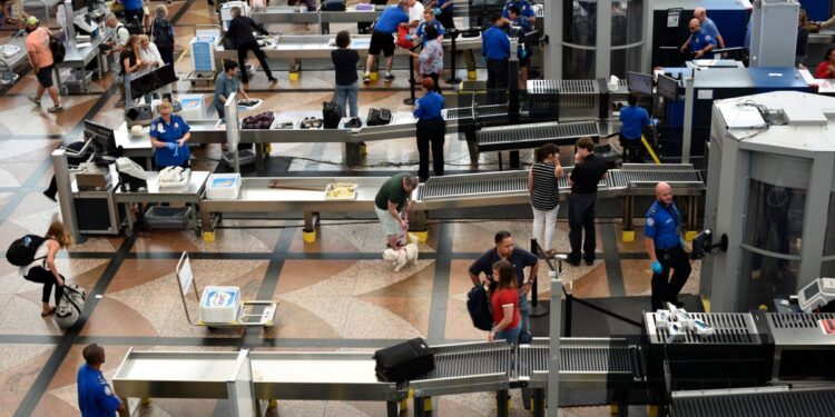 Día del Trabajo 2026 en DIA más de 368 mil viajeros previstos – Telemundo Denver
