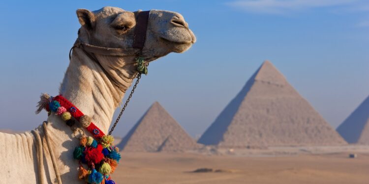 Soltour consolida su programación hacia Egipto para la temporada 2026-2027