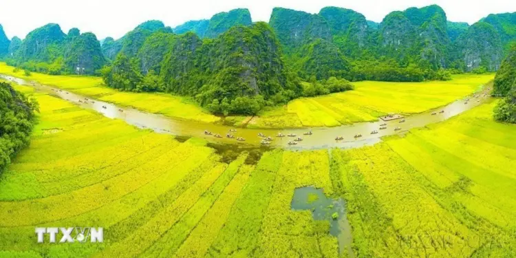 Vietnam.vn - Nền tảng quảng bá Việt Nam