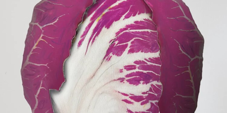 All Hail the Chicory—The Most Wonderful Thing You Can Put On Your Plate