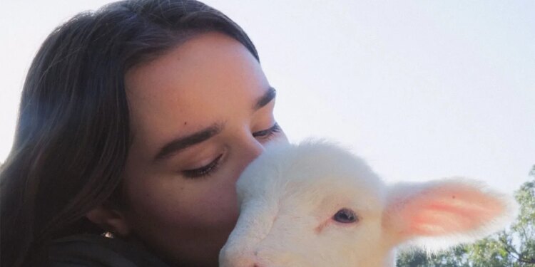 Wondering About Wool? These 5 Films Explain Fashion’s Relationship With the Fiber