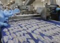 Food News Latam - Aurora Coop adquiere complejo de pescados de Mar & Terra