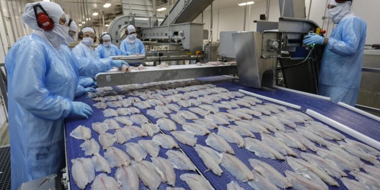 Food News Latam - Aurora Coop adquiere complejo de pescados de Mar & Terra