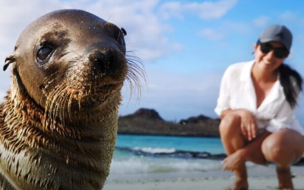 Galaxy Cruises define cómo seleccionar una ruta por Galápagos según la fauna que se quieras ver
