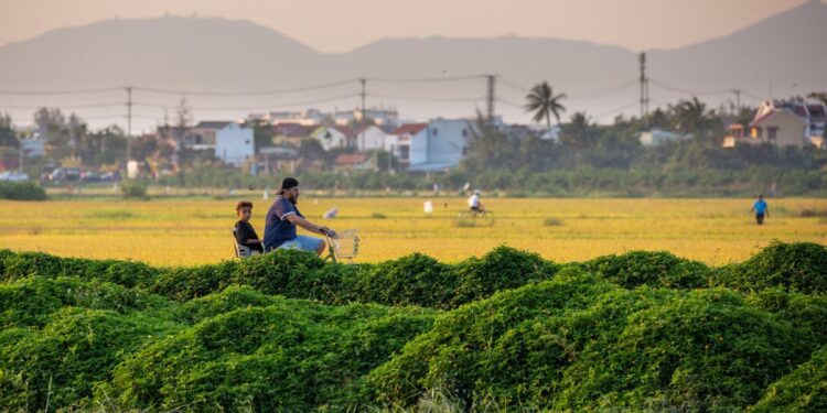 Vietnam.vn - Nền tảng quảng bá Việt Nam
