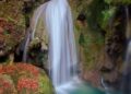 cascada de aguas