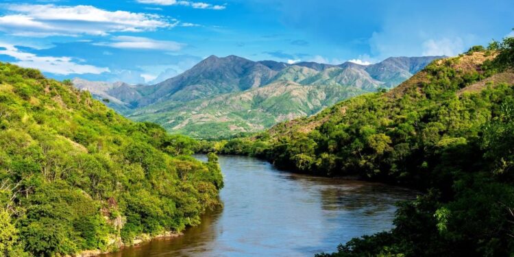 Navegar el río de 'El amor en los tiempos del cólera': el crucero que recorre la Colombia de Gabriel García Márquez