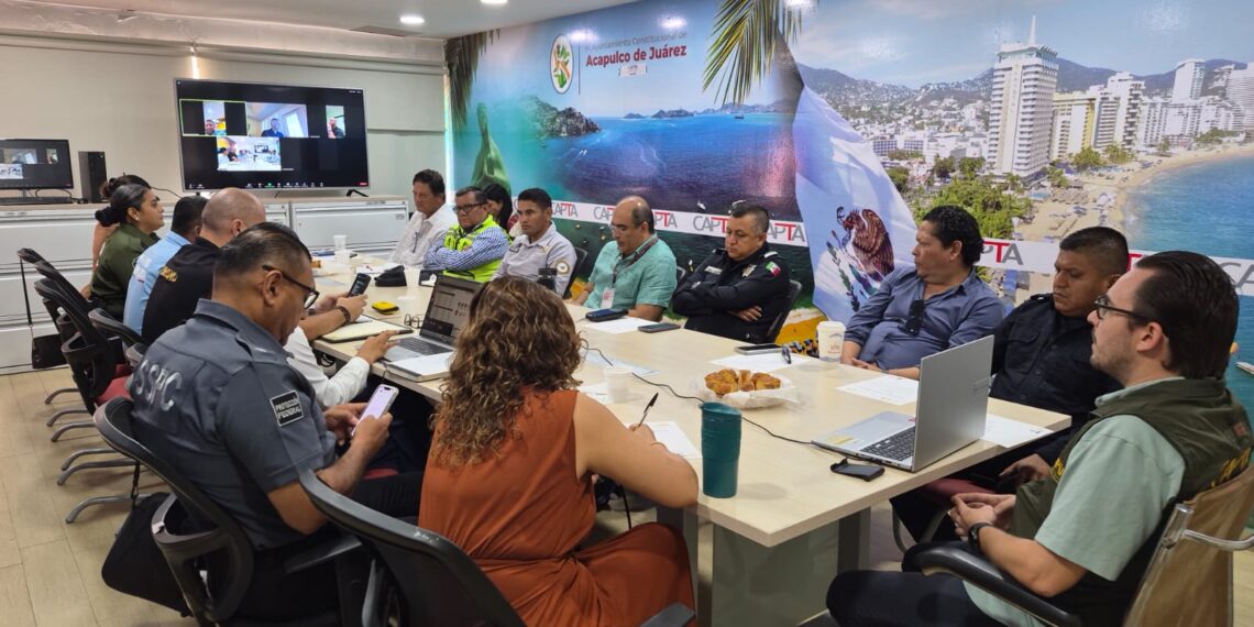 Prepara Gobierno de Acapulco temporada de cruceros