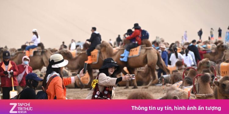 Vietnam.vn - Nền tảng quảng bá Việt Nam