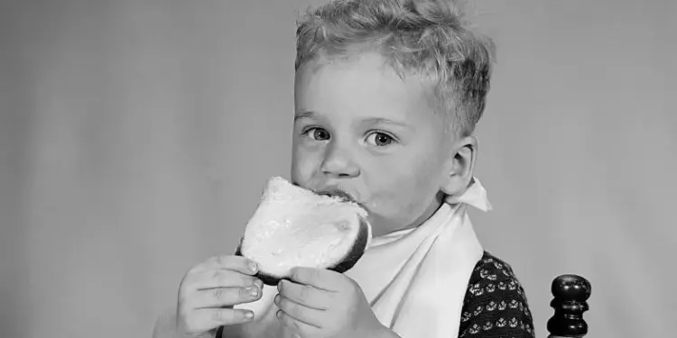 What Feeding a Toddler Has Taught Me About Taste