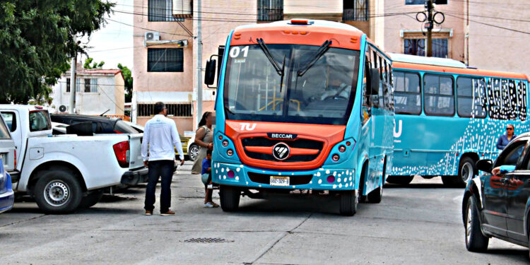 Nueva ruta del Tiburón Urbano Pedregal-Centro realizará casi 16,000 viajes mensuales en La Paz 