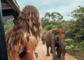 Para los más aventureros: los mejores viajes para encontrarse con animales salvajes