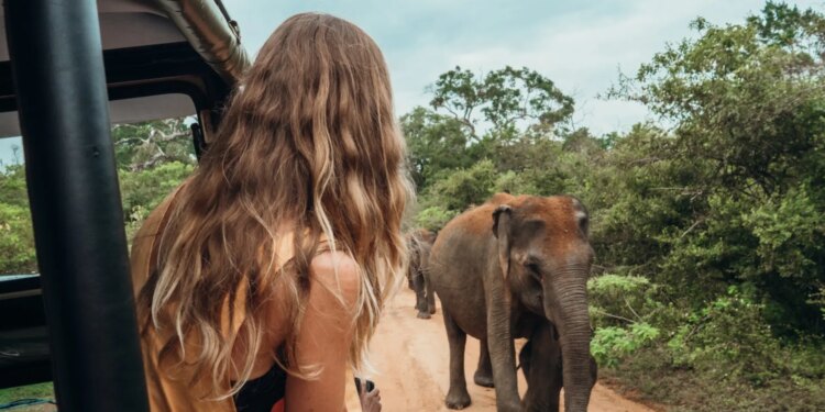Para los más aventureros: los mejores viajes para encontrarse con animales salvajes