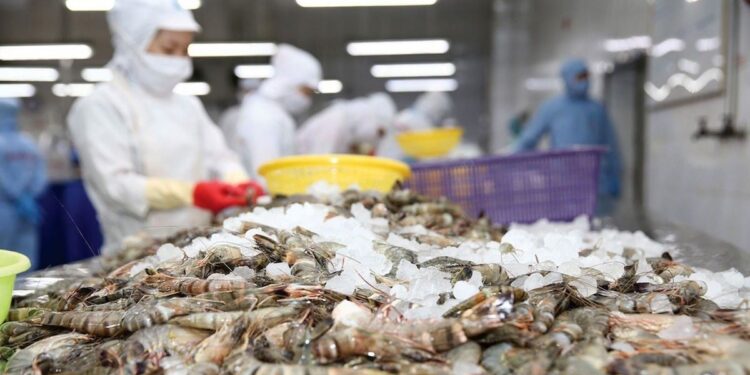 Vietnam.vn - Nền tảng quảng bá Việt Nam