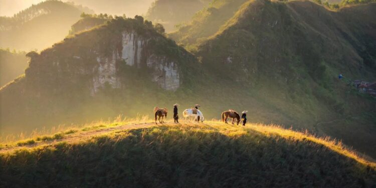 Vietnam.vn - Nền tảng quảng bá Việt Nam
