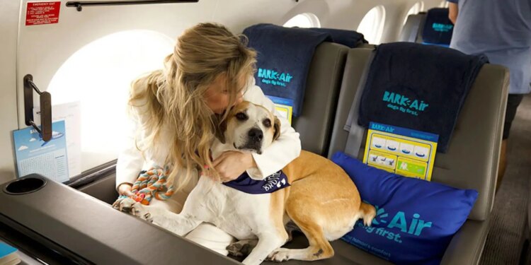 ¿Cuáles son las mejores aerolíneas de Europa para viajar con mascotas?